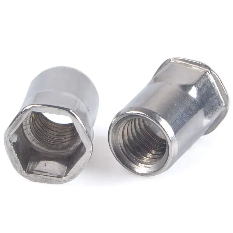 Cabeça Reduzida Meio Corpo Hexagonal